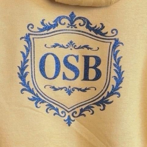 Unisex Gold Hoodie With Shimmering Gold Logo on Front and Back